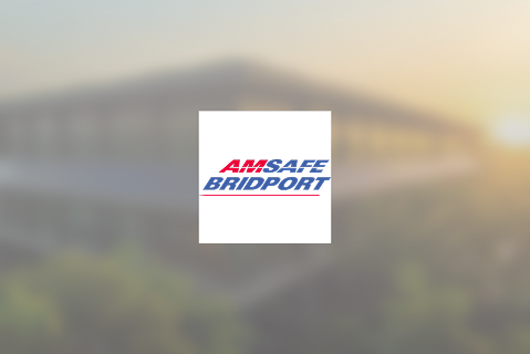 Amsafe Bridport